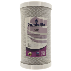 10'' Big Blue 5 Mikron Blok Karbon Filtre