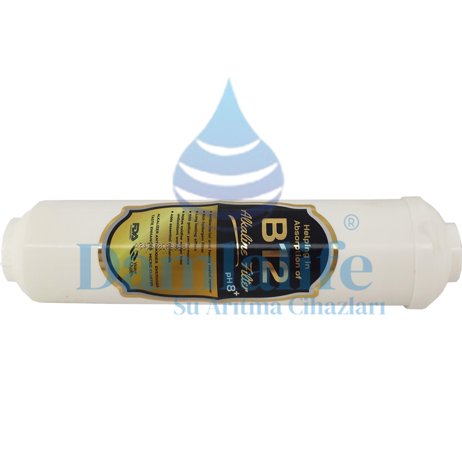 b12 filtre
